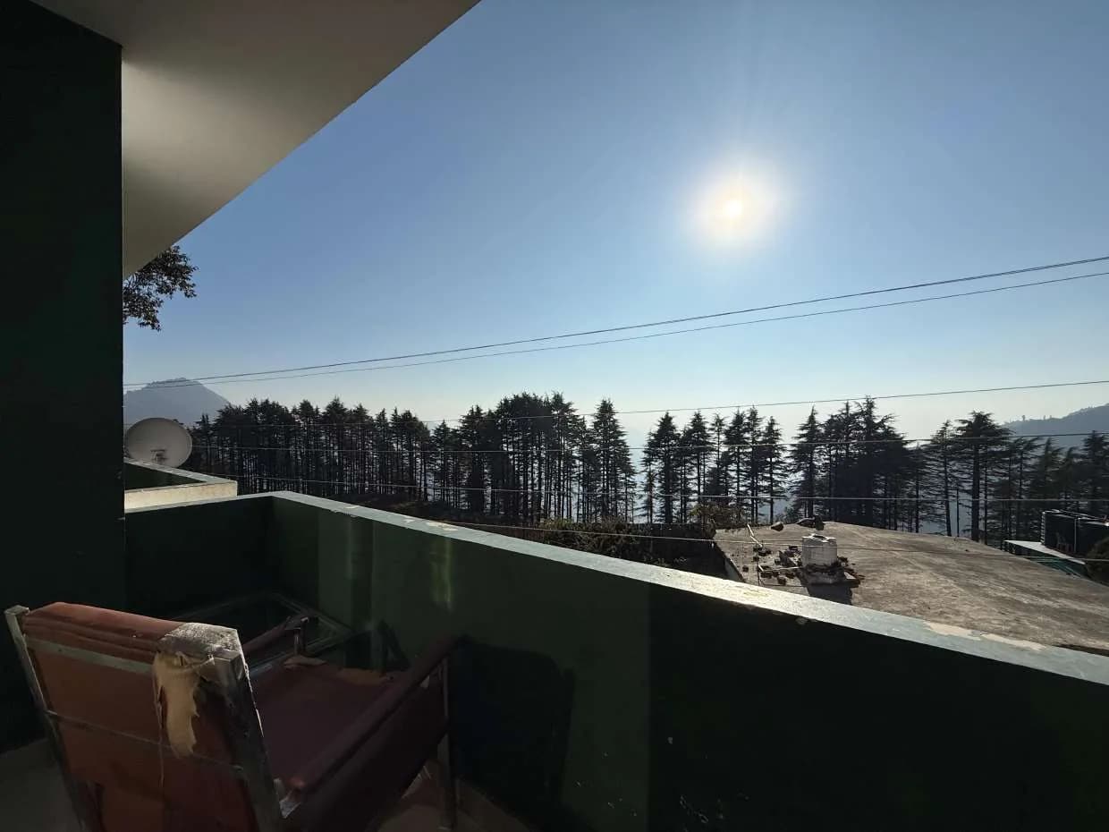 Balcony view over a cedar forest towards a ridge under a clear sky